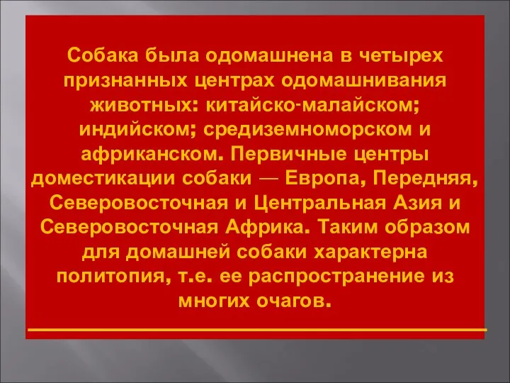 Собака была одомашнена в четырех признанных центрах одомашнивания животных: китайско-малайском; индийском;