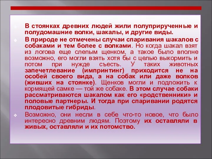 В стоянках древних людей жили полуприрученные и полудомашние волки, шакалы, и