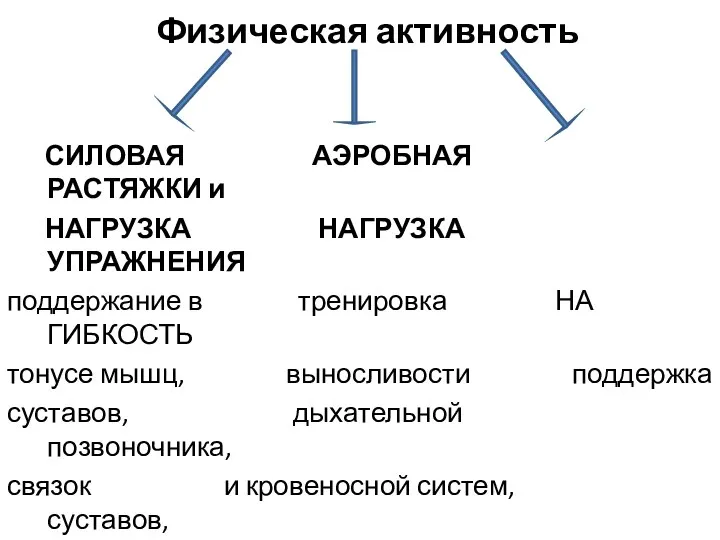 Физическая активность СИЛОВАЯ АЭРОБНАЯ РАСТЯЖКИ и НАГРУЗКА НАГРУЗКА УПРАЖНЕНИЯ поддержание в