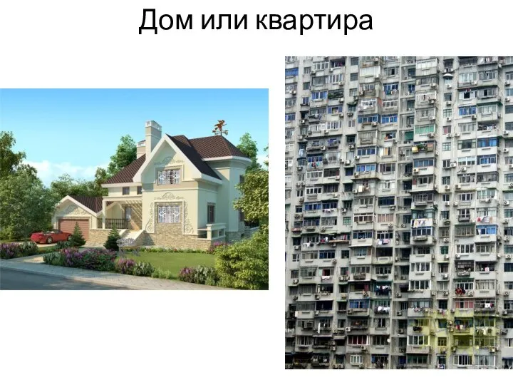Дом или квартира
