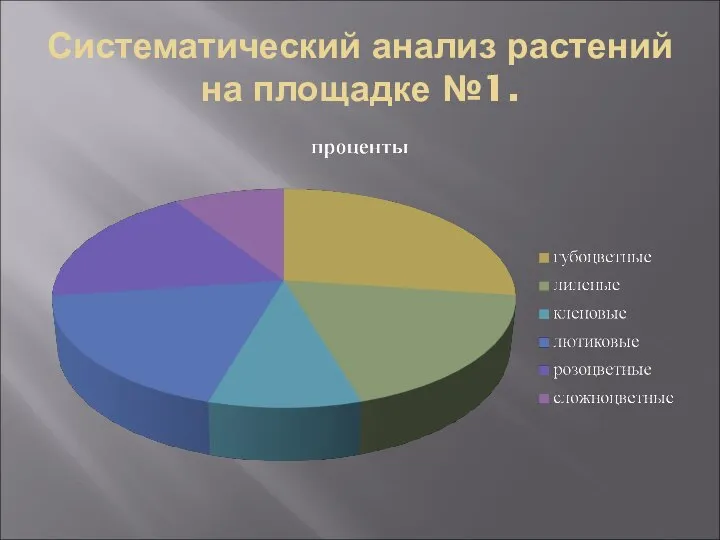 Систематический анализ растений на площадке №1.