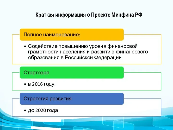 Краткая информация о Проекте Минфина РФ