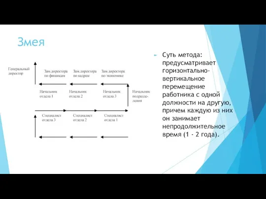 Змея Суть метода: предусматривает горизонтально-вертикальное перемещение работника с одной должности на