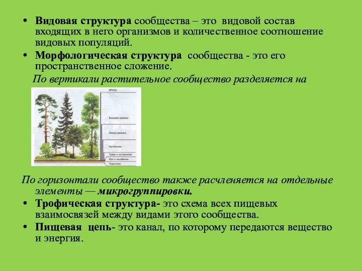 Видовая структура сообщества – это видовой состав входящих в него организмов