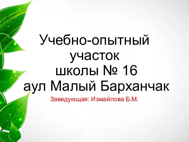 Учебно-опытный участок школы № 16 аул Малый Барханчак Заведующая: Измайлова Б.М.