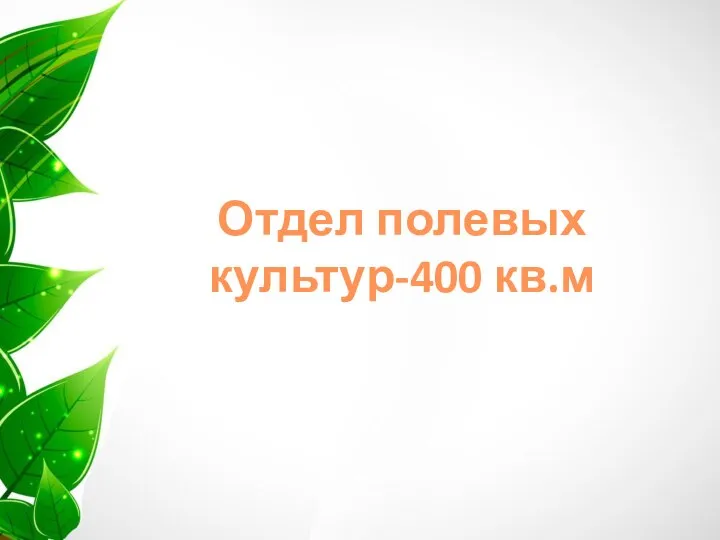 Отдел полевых культур-400 кв.м