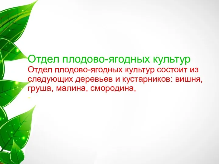 Отдел плодово-ягодных культур Отдел плодово-ягодных культур состоит из следующих деревьев и