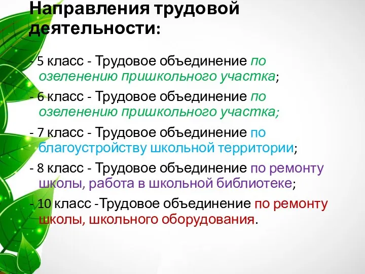 Направления трудовой деятельности: - 5 класс - Трудовое объединение по озеленению