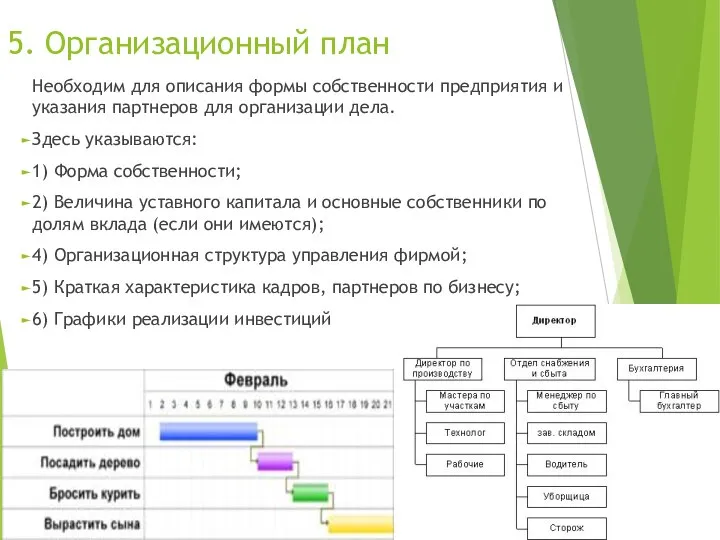 5. Организационный план Необходим для описания формы собственности предприятия и указания