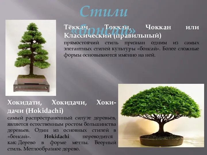 Тёккан, Токкан, Чоккан или Классический (правильный) прямостоячий стиль признан одним из