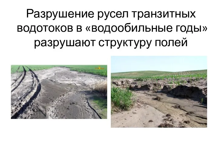 Разрушение русел транзитных водотоков в «водообильные годы» разрушают структуру полей