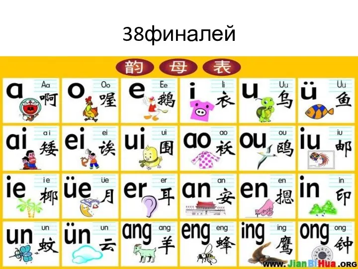 38финалей