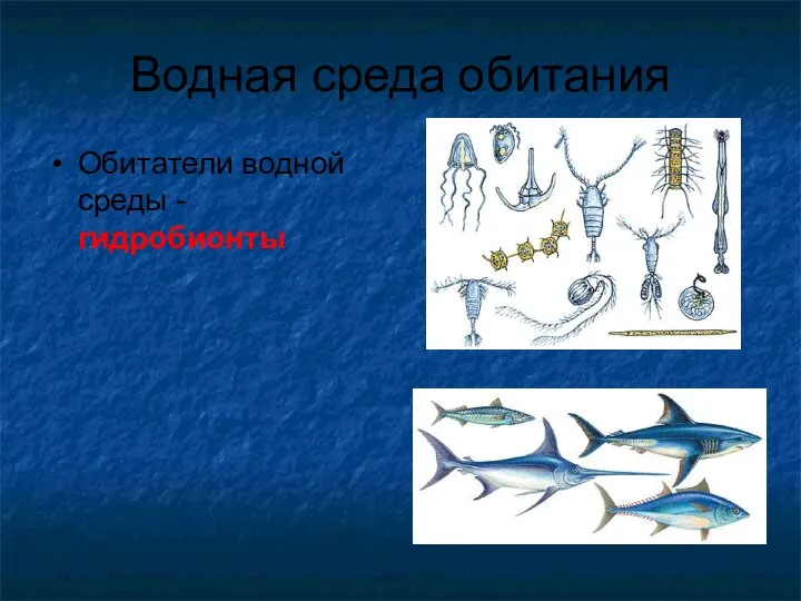 Водная среда обитания Обитатели водной среды - гидробионты