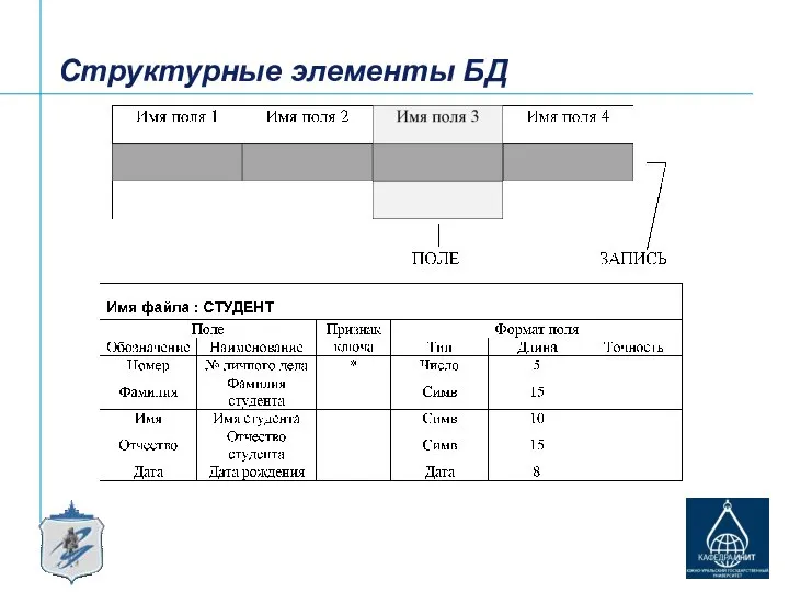 Структурные элементы БД