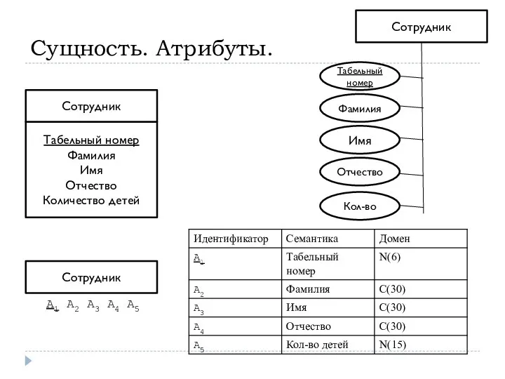 Сущность. Атрибуты. Табельный номер Фамилия Имя Отчество Количество детей Сотрудник Сотрудник