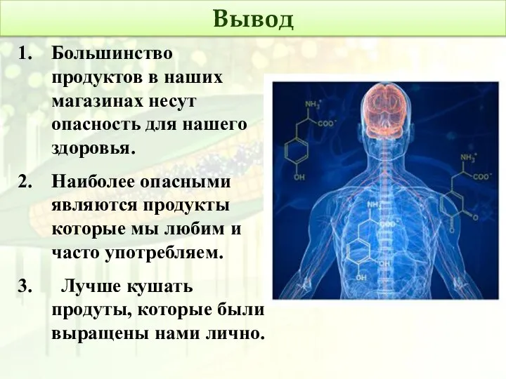 Вывод Большинство продуктов в наших магазинах несут опасность для нашего здоровья.