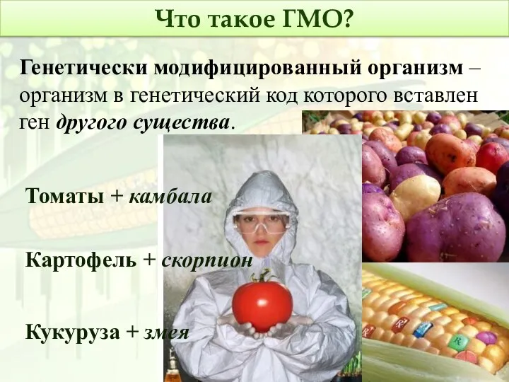 Что такое ГМО? Генетически модифицированный организм – организм в генетический код