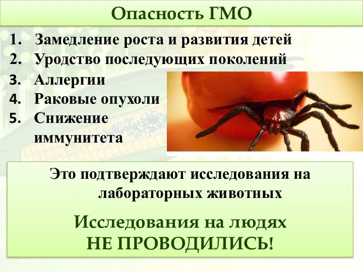 Опасность ГМО Аллергии Раковые опухоли Снижение иммунитета Это подтверждают исследования на