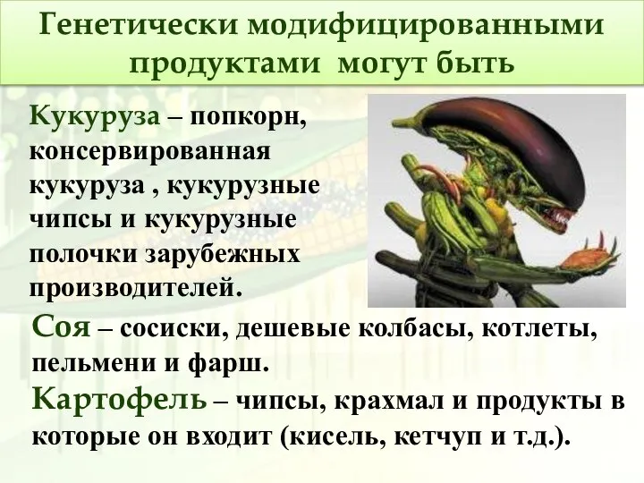 Генетически модифицированными продуктами могут быть Соя – сосиски, дешевые колбасы, котлеты,