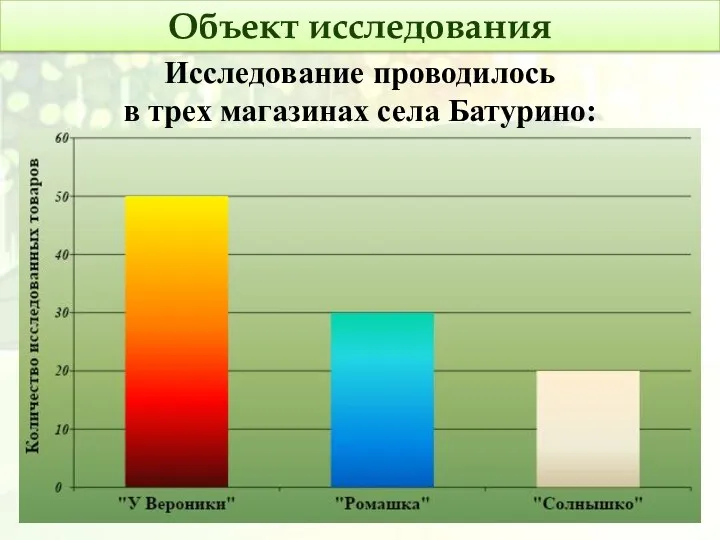 Исследование проводилось в трех магазинах села Батурино: Объект исследования