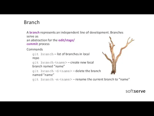 Branch A branch represents an independent line of development. Branches serve