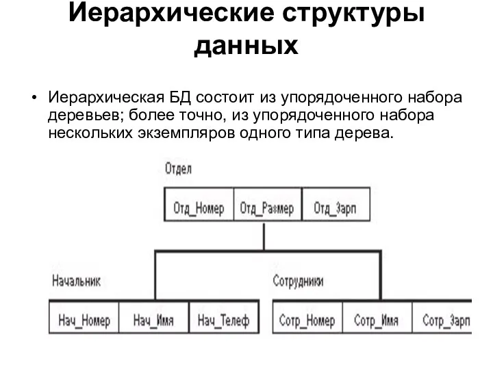 Иерархические структуры данных Иерархическая БД состоит из упорядоченного набора деревьев; более