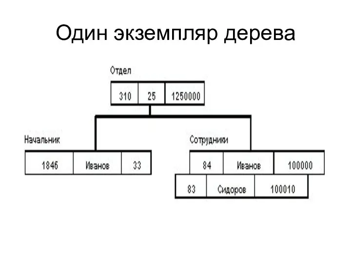 Один экземпляр дерева