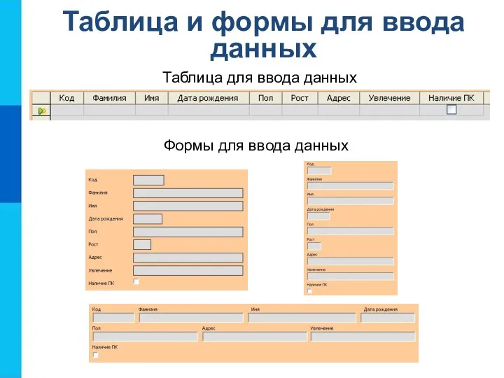 Таблица для ввода данных Формы для ввода данных Таблица и формы для ввода данных