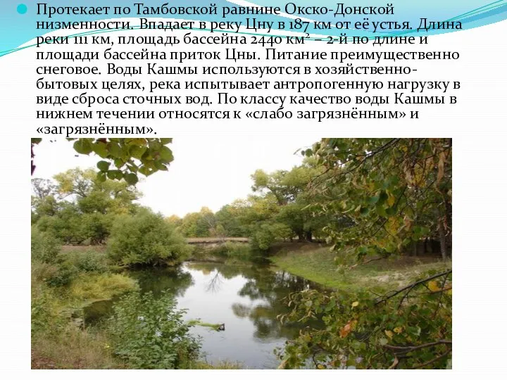 Протекает по Тамбовской равнине Окско-Донской низменности. Впадает в реку Цну в