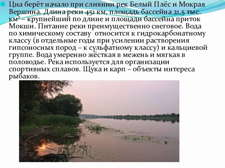 Цна берёт начало при слиянии рек Белый Плёс и Мокрая Вершина.