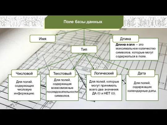 Имя Тип Поле базы данных Длина Числовой Текстовый Логический Для полей,