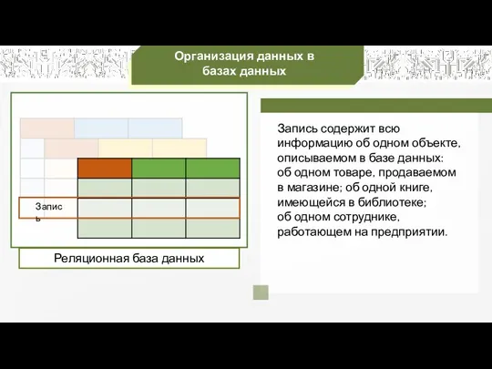 Организация данных в базах данных Запись содержит всю информацию об одном