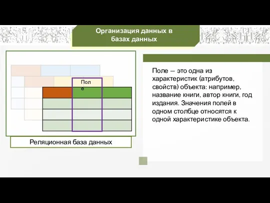 Организация данных в базах данных Поле — это одна из характеристик