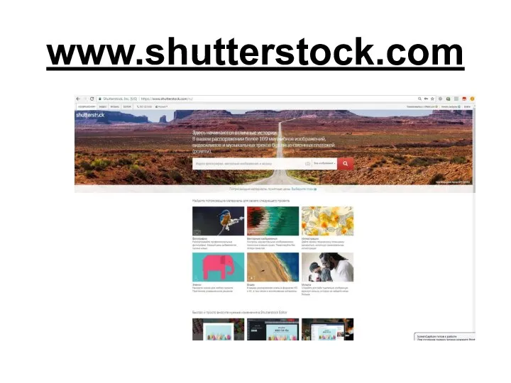 www.shutterstock.com