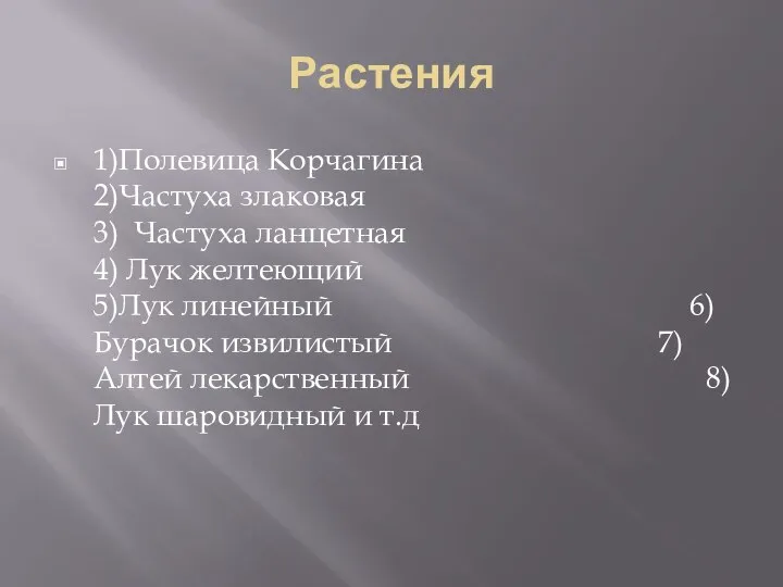 Растения 1)Полевица Корчагина 2)Частуха злаковая 3) Частуха ланцетная 4) Лук желтеющий