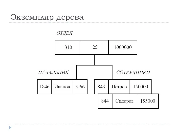 Экземпляр дерева