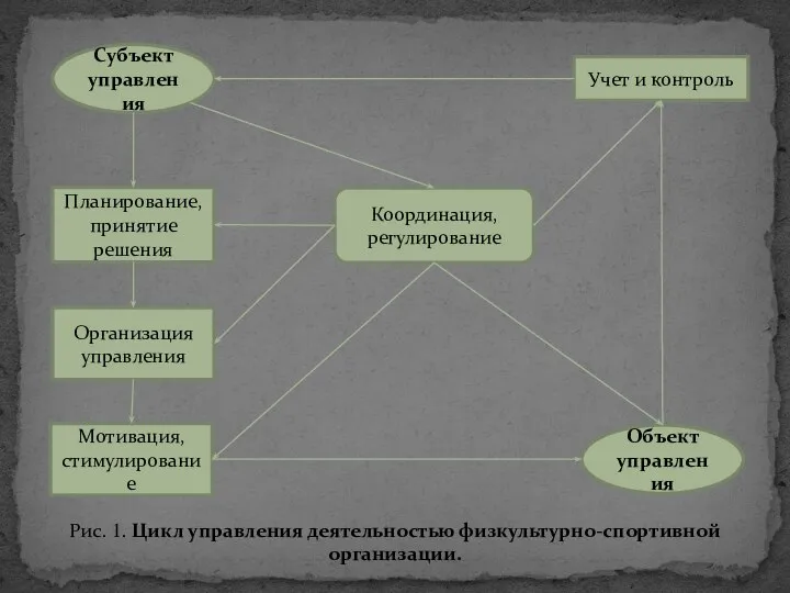 Координация, регулирование Субъект управления Объект управления Учет и контроль Планирование, принятие