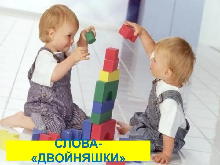 СЛОВА- «ДВОЙНЯШКИ»