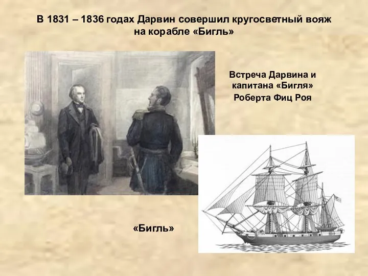 В 1831 – 1836 годах Дарвин совершил кругосветный вояж на корабле