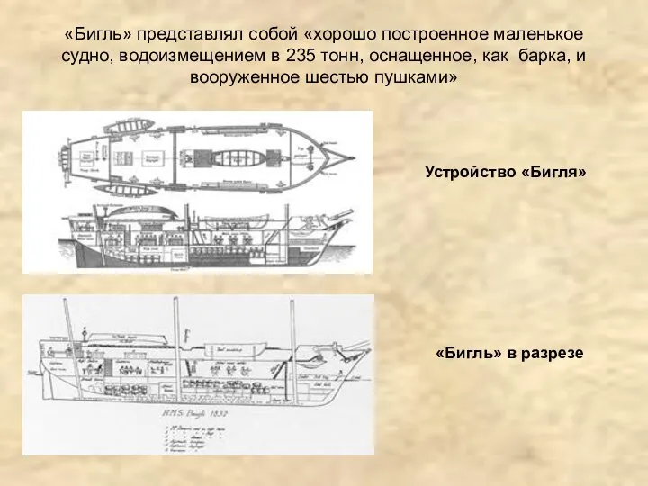 «Бигль» представлял собой «хорошо построенное маленькое судно, водоизмещением в 235 тонн,