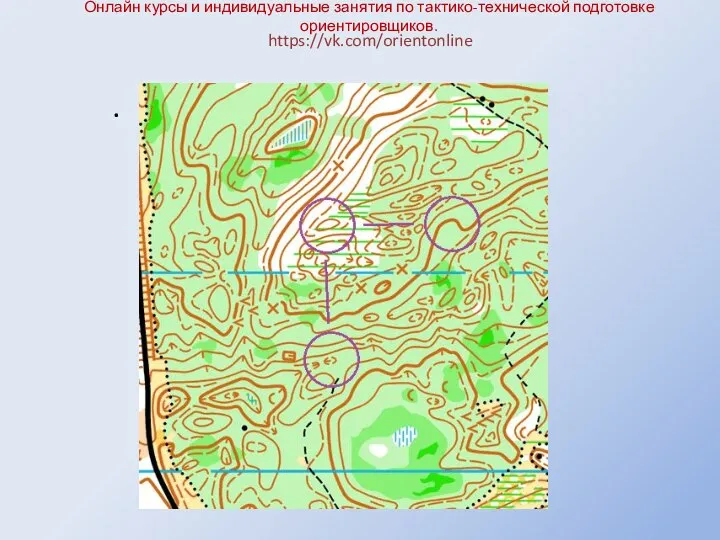 Онлайн курсы и индивидуальные занятия по тактико-технической подготовке ориентировщиков. https://vk.com/orientonline .