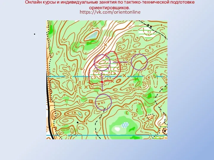 Онлайн курсы и индивидуальные занятия по тактико-технической подготовке ориентировщиков. https://vk.com/orientonline .