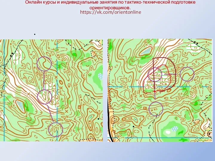 Онлайн курсы и индивидуальные занятия по тактико-технической подготовке ориентировщиков. https://vk.com/orientonline .