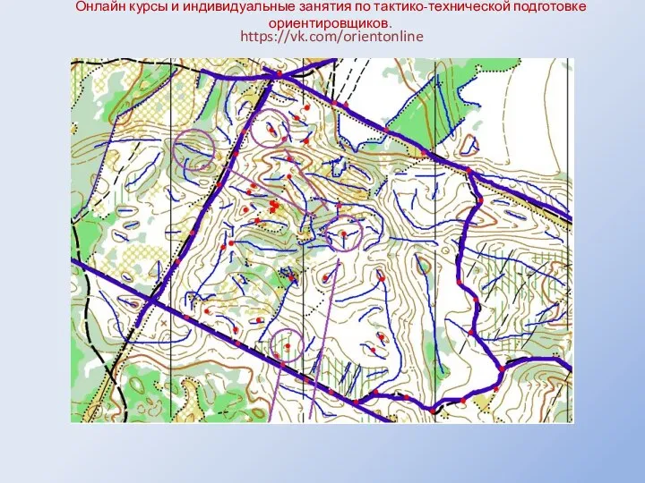 Онлайн курсы и индивидуальные занятия по тактико-технической подготовке ориентировщиков. https://vk.com/orientonline .