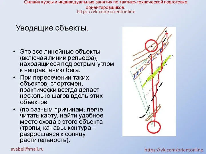 Онлайн курсы и индивидуальные занятия по тактико-технической подготовке ориентировщиков. Это все