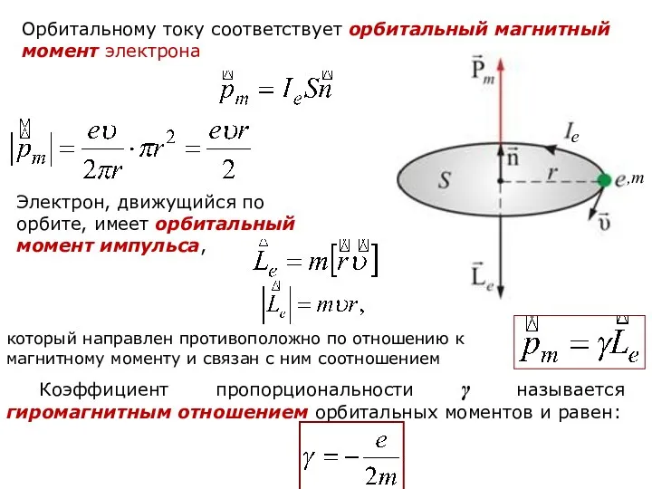 Орбитальному току соответствует орбитальный магнитный момент электрона Электрон, движущийся по орбите,