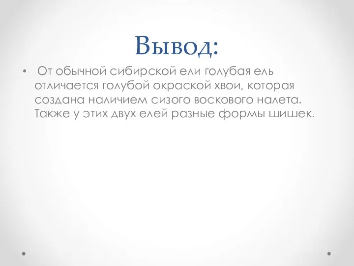 Вывод: От обычной сибирской ели голубая ель отличается голубой окраской хвои,