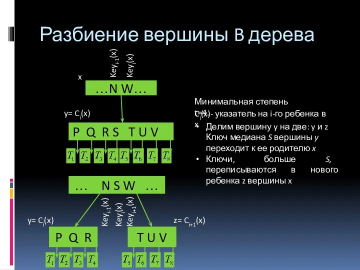 Разбиение вершины B дерева …N W… P Q R S T