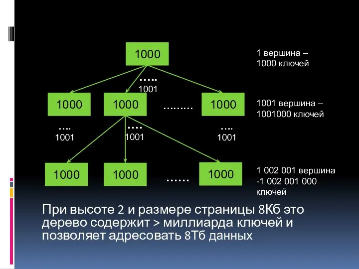 При высоте 2 и размере страницы 8Кб это дерево содержит >