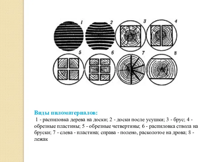 Виды пиломатериалов: 1 - распиловка дерева на доски; 2 - доски